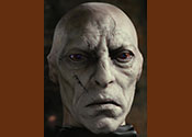 Voldemort front face 