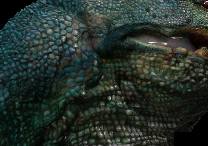 lizard dragon textures upclose