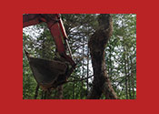 excavator bucket and detail of walker sculpture