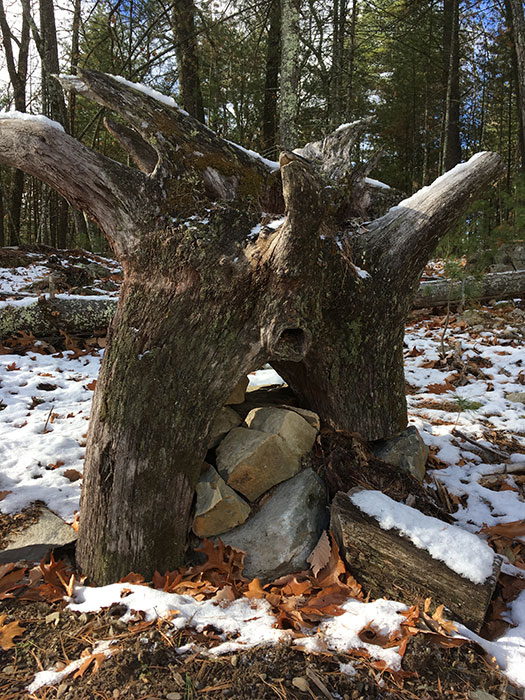 forest troll sculpture photo