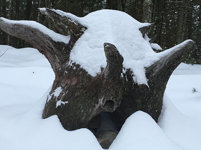 forest troll sculpture in winter photo