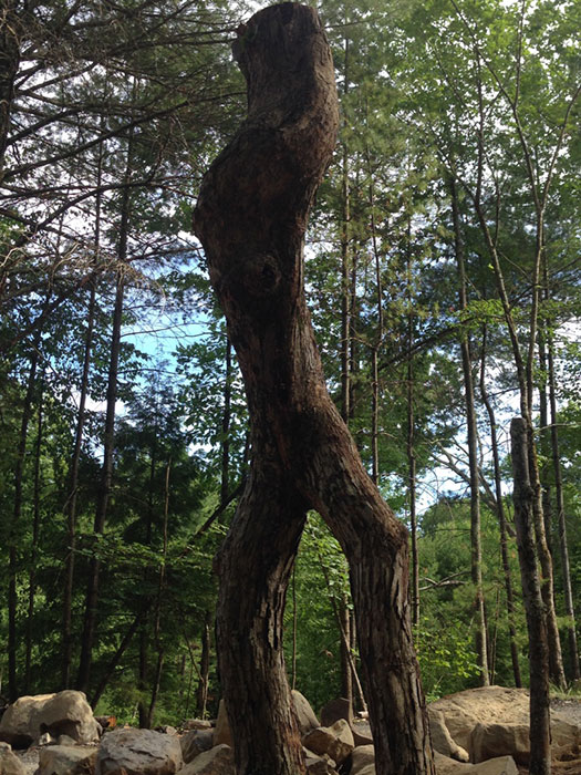 tree sculpture of walking man photo