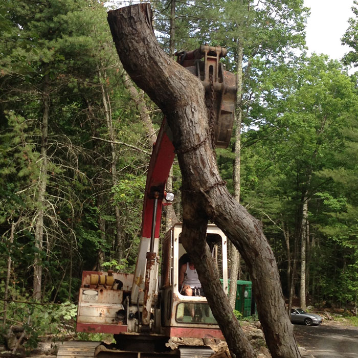 tree sculpture of man walking photo