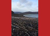 ashokan reservoir